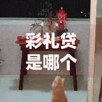 彩礼贷是哪个银行？这些金融机构竟推出“结婚神器”