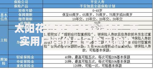 太阳花贷款平台靠谱吗？真实用户评价与安全风险分析