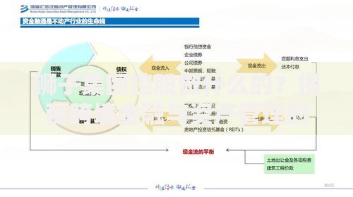 狮子集团控股做什么的？揭秘跨境金融与资产管理的创新布局