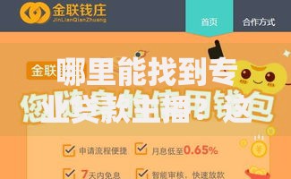 哪里能找到专业贷款主播？这10个平台助你快速解决资金难题