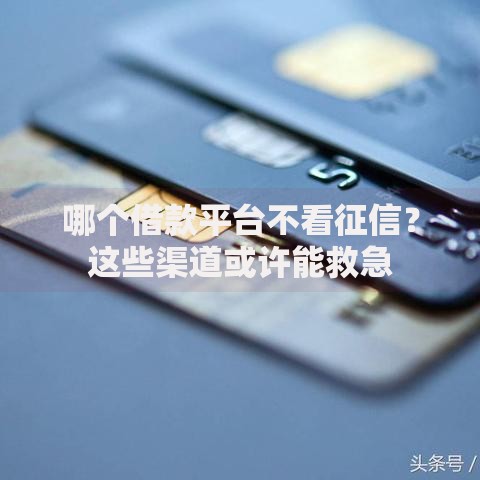 哪个借款平台不看征信？这些渠道或许能救急