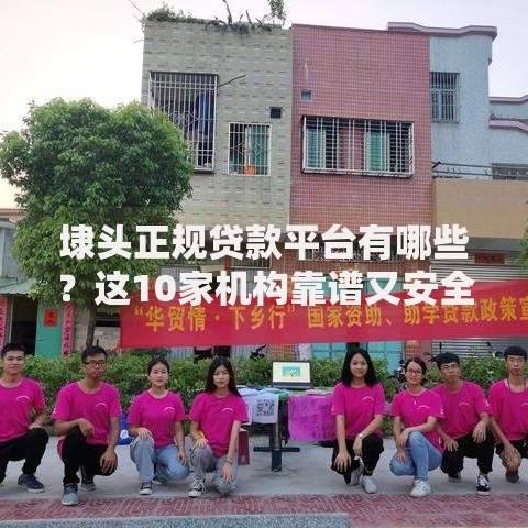 埭头正规贷款平台有哪些？这10家机构靠谱又安全