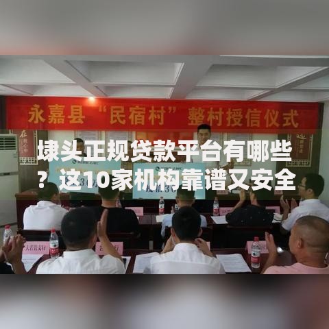 埭头正规贷款平台有哪些？这10家机构靠谱又安全