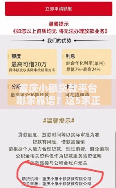 重庆小额贷款平台哪家靠谱？这5家正规机构值得选