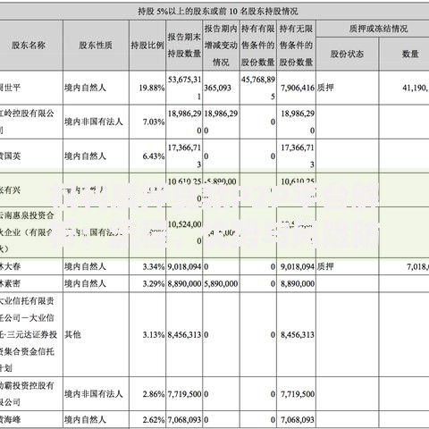 权利质押贷款P2P平台解析：流程、优势与风险防范指南