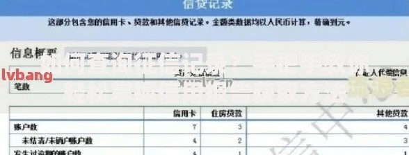 如何查询征信记录？手把手教你轻松掌握信用报告获取方法