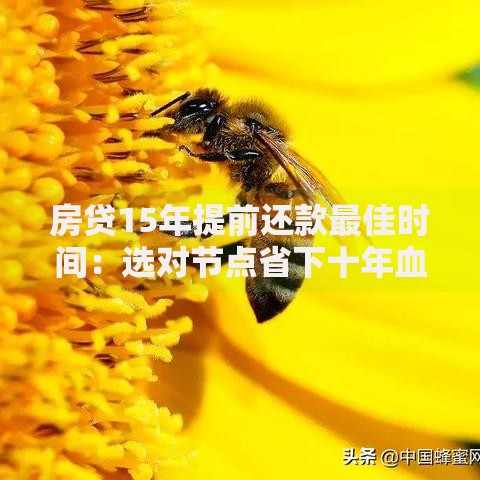 房贷15年提前还款最佳时间：选对节点省下十年血汗钱
