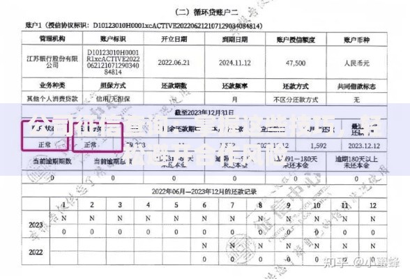 公司征信查询：掌握这些技巧，轻松避开合作风险