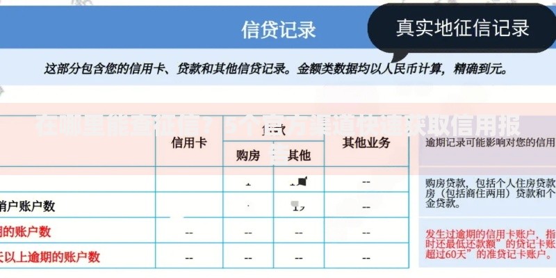 在哪里能查征信？5个官方渠道快速获取信用报告