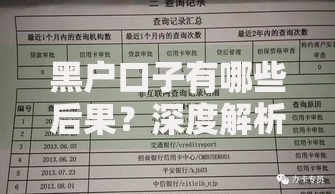 黑户口子有哪些后果？深度解析征信风险与法律责任