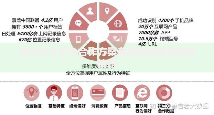 贷款口子平台合作方案有哪些类型及选择策略