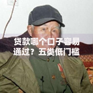 贷款哪个口子容易通过？五类低门槛平台深度解析