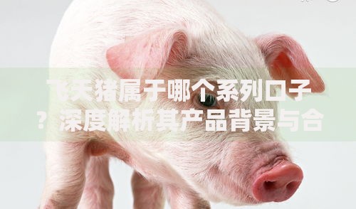 飞天猪属于哪个系列口子？深度解析其产品背景与合规性