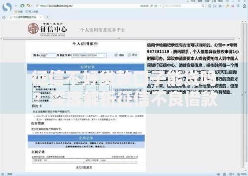 征信不好贷款口子能贷吗？深度解析征信不良借款方案