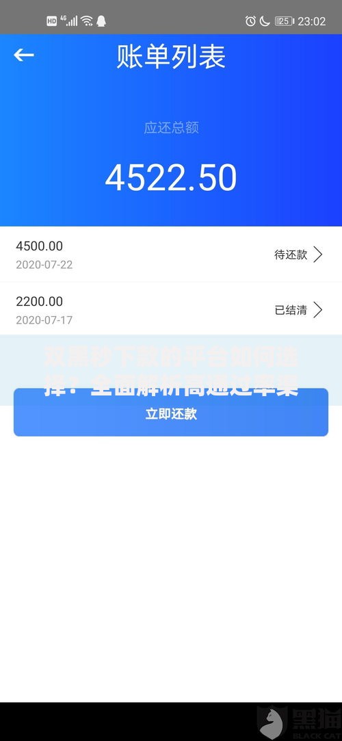 双黑秒下款的平台如何选择？全面解析高通过率渠道