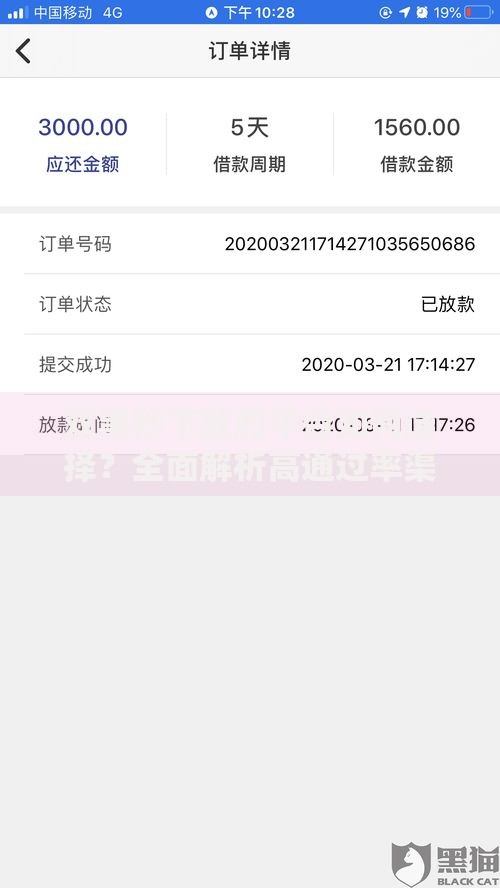 双黑秒下款的平台如何选择？全面解析高通过率渠道