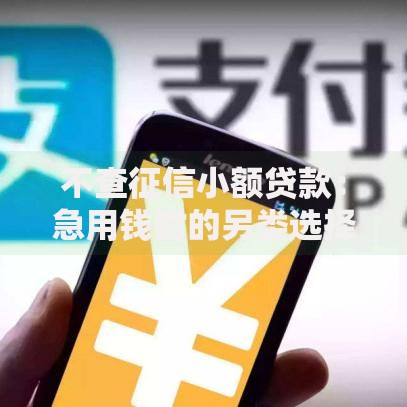 不查征信小额贷款：急用钱时的另类选择攻略