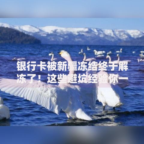 银行卡被新疆冻结终于解冻了！这些避坑经验你一定要知道