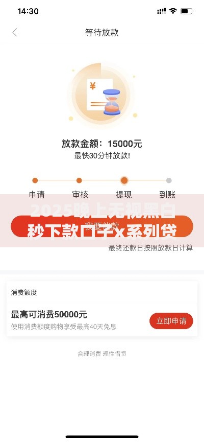 2025晚上无视黑白秒下款口子x系列贷款产品深度解析