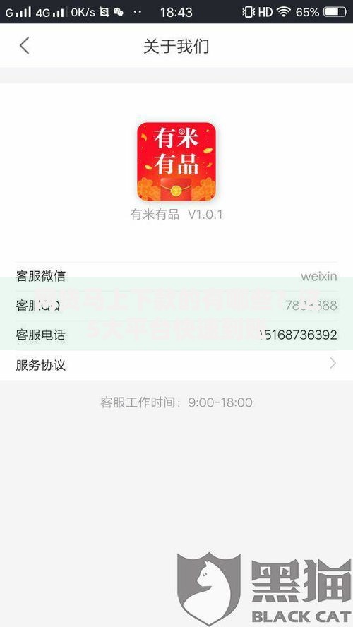网贷马上下款的有哪些？这5大平台快速到账