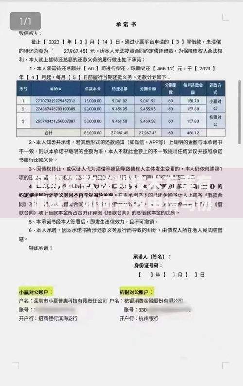 延期还款谈判技术方案有哪些？如何高效申请与协商成功
