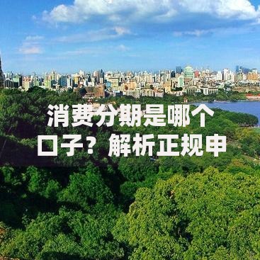 消费分期是哪个口子？解析正规申请渠道与核心流程