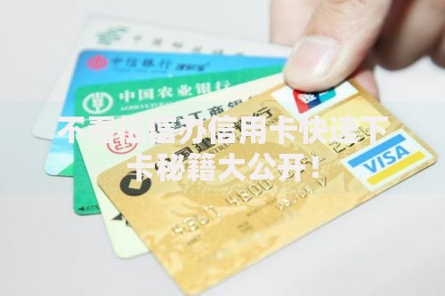 不看征信办信用卡快速下卡秘籍大公开！