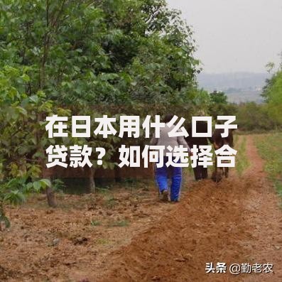 在日本用什么口子贷款？如何选择合法安全渠道