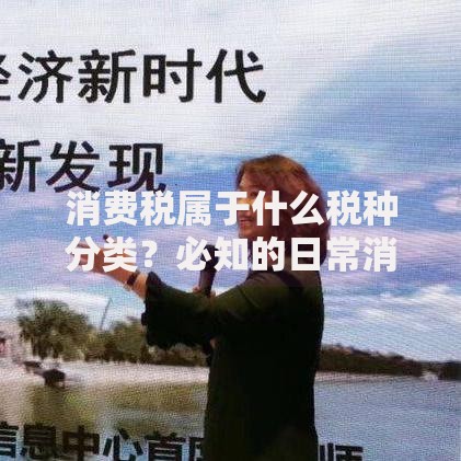 消费税属于什么税种分类？必知的日常消费影响要点