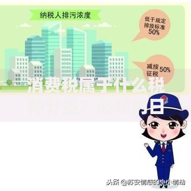 消费税属于什么税种分类？必知的日常消费影响要点