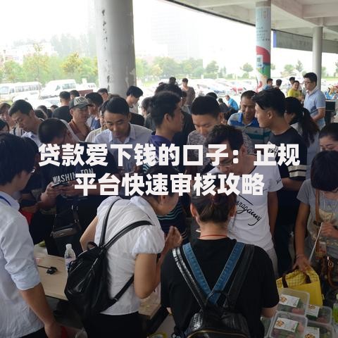 贷款爱下钱的口子：正规平台快速审核攻略