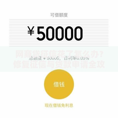 网商贷征信花了怎么办？修复征信与贷款申请全攻略
