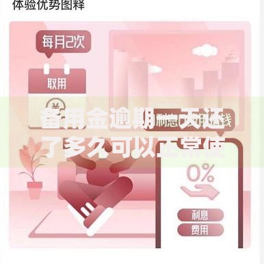 备用金逾期一天还了多久可以正常使用？恢复时间全解析