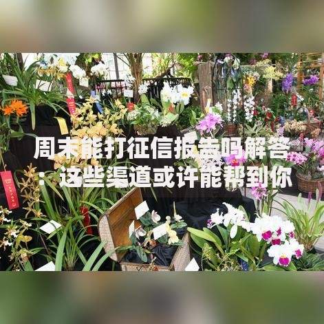 周末能打征信报告吗解答：这些渠道或许能帮到你！