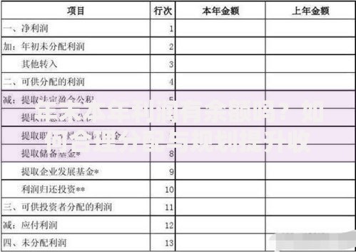 年末本年利润有余额吗？如何合理分配与规划提升收益