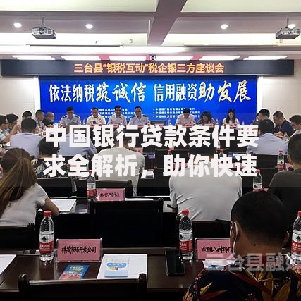 中国银行贷款条件要求全解析，助你快速匹配资金方案