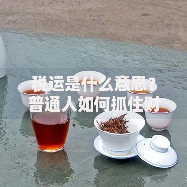 税运是什么意思？普通人如何抓住财富管理新趋势
