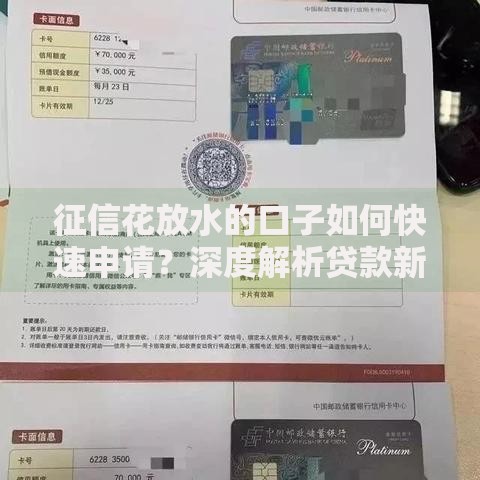 征信花放水的口子如何快速申请？深度解析贷款新渠道