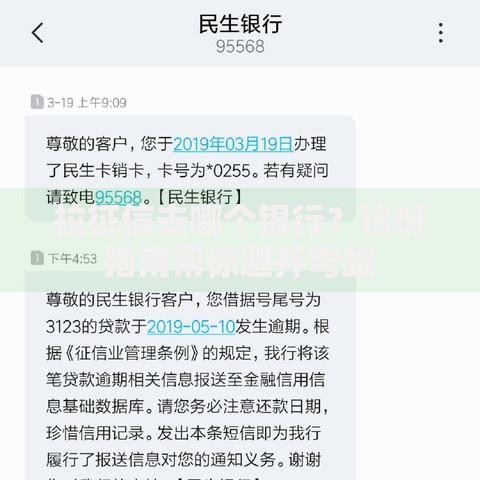 拉征信去哪个银行？这份指南帮你避开弯路