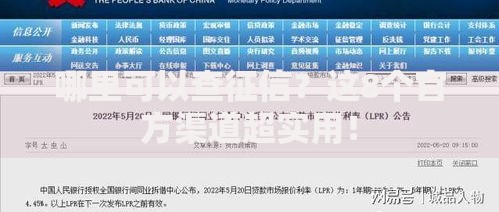 哪里可以查征信？这8个官方渠道超实用！