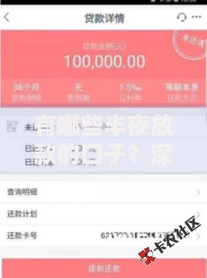 有哪些半夜放款的口子？深夜急需资金解决方案盘点