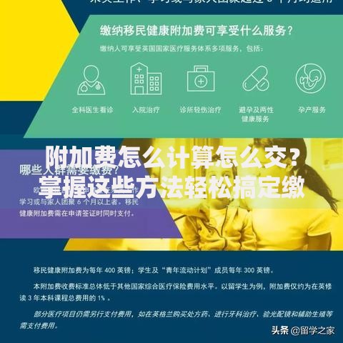 附加费怎么计算怎么交？掌握这些方法轻松搞定缴费流程