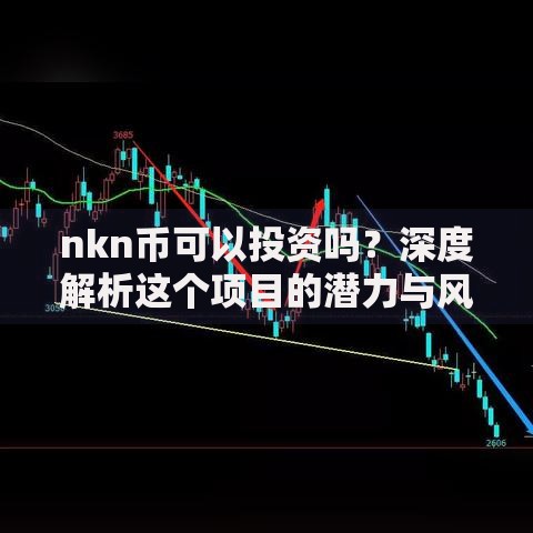 nkn币可以投资吗？深度解析这个项目的潜力与风险