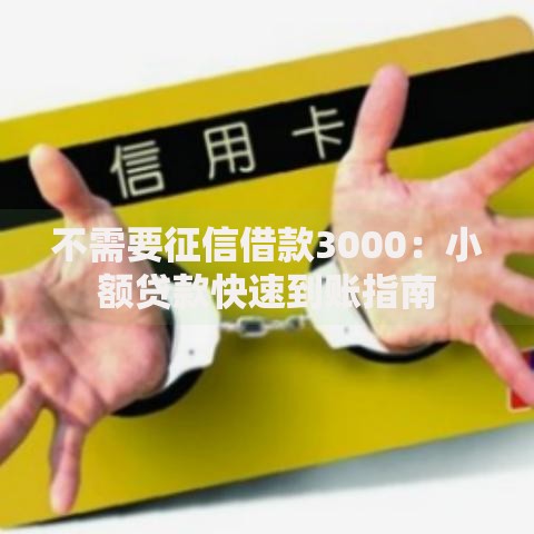 不需要征信借款3000：小额贷款快速到账指南