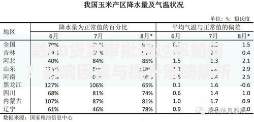 融60贷款审批通过率如何?影响因素与提升策略解析 融60贷款审批通过率如何?影响因素与提升策略解析