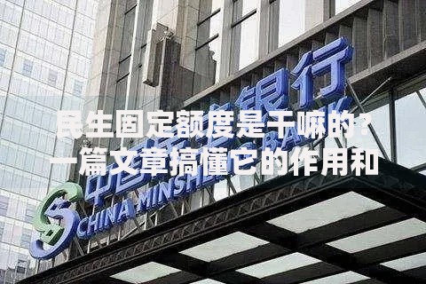 民生固定额度是干嘛的？一篇文章搞懂它的作用和用法