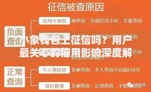 小象钱包上征信吗？用户最关心的信用影响深度解析