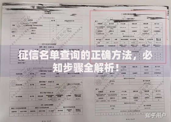 征信名单查询的正确方法，必知步骤全解析！