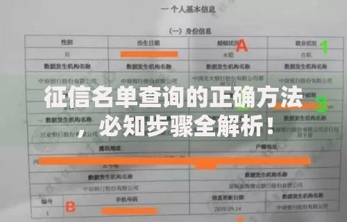 征信名单查询的正确方法，必知步骤全解析！
