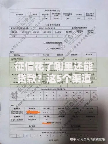 征信花了哪里还能贷款？这5个渠道或许能帮你解决难题